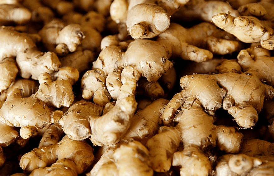 Ginger in Prenatal Vitamins: A Natural Nausea Relief
